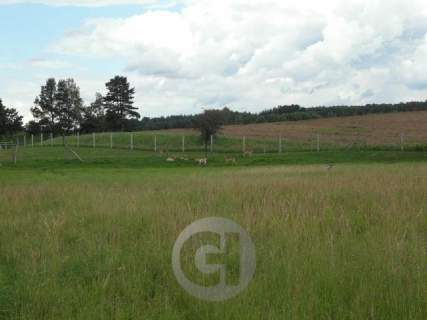 Obiekt na sprzedaż, 300 m2, Dobiegniew