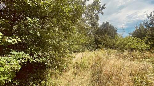 Dom na sprzedaż, 100 m2, Ruda Kameralna