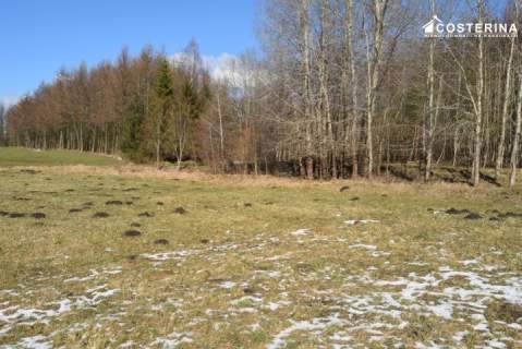 Działki budowlane w Bukowinie, gmina Cewice