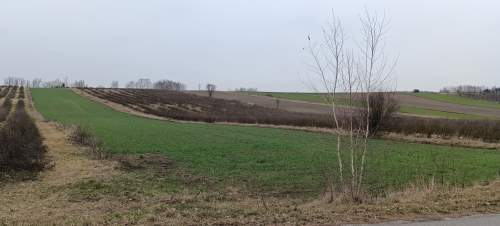 Działka rolno-budowlana Józefatów 1,01 ha