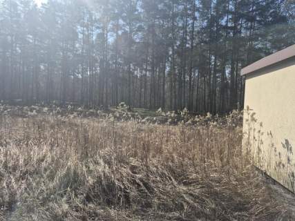 prywatny las, wz - dom jednorodzinny, droga gminna