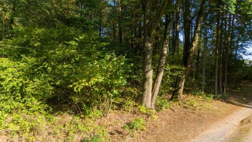 Działka budowlano leśna Kamińsko 8283m2