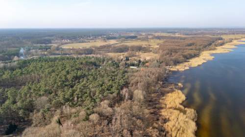 Działka przy lesie nad Zalewem Szczecińskim.