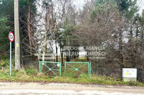 Połęczyno siedlisko 0,6 ha na sprzedaż.