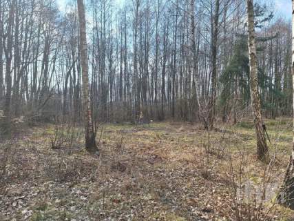 Z linią brzegową rzeczki, bez bliskich sąsiadów