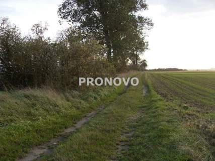 Działki budowlane objęte MPZP okolice Dusin