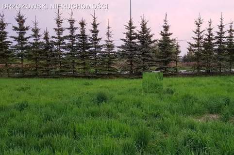 Białołęka, Tarchomin, 1500 m2, mieszkaniowa