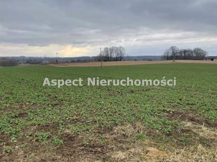 Działka budowlana 5000mkw   Gorzyce