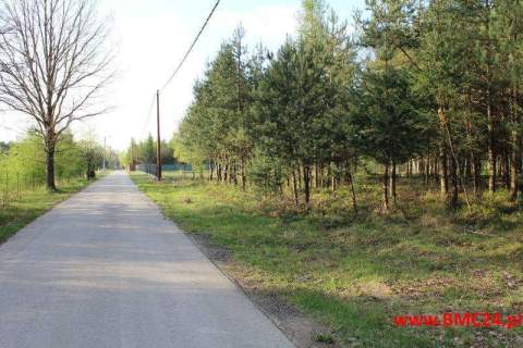 Działka leśna 1.62 ha - Mikołeska