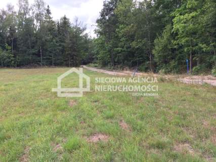 Działka rolna 11.811m2, Skrzeszewo Żuk.