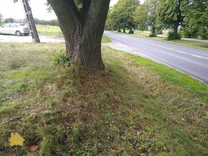 Działka inwestycyjna przy ulicy Zemborzyckiej