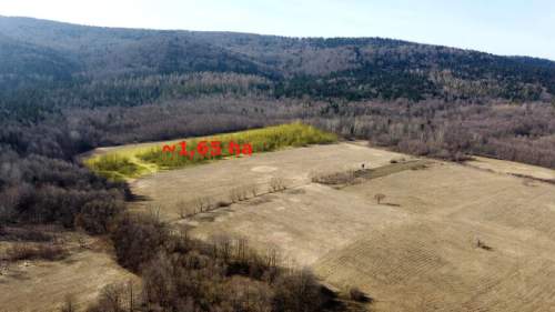 LAS OLCHOWY, PIELGRZYMKA, GM. OSIEK JASIELSKI, 1,65HA