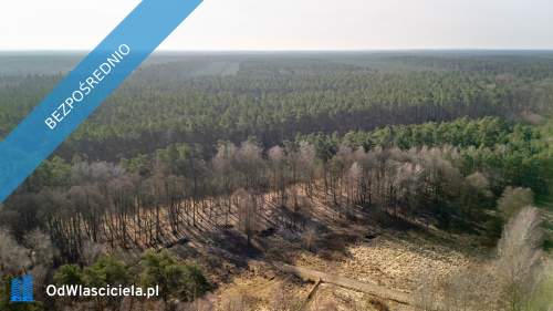 Działka pod lasem z wydanymi warunkami tylko 120 zł/m2