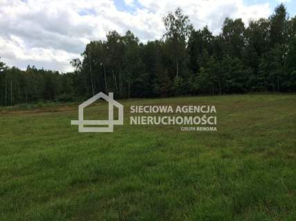 Działka rolna 11.811m2, Skrzeszewo Żuk.