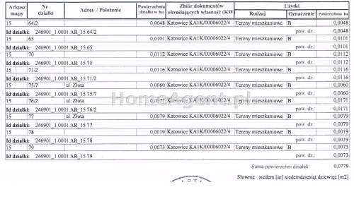 Działka przy głównej alei Parku Śląskiego
