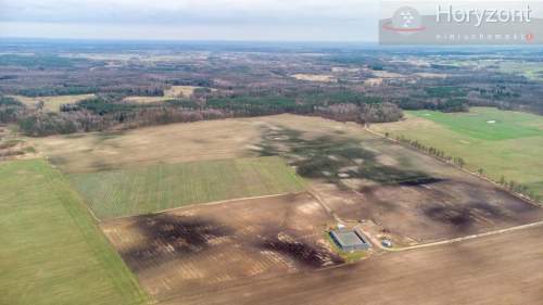 Gospodarstwo rolne 50ha plantacja borówki 7ha 