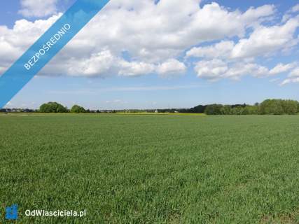 Skoczów Pruchna 1,15ha z prawem zabudowy bdb.lokalizacja w samym...