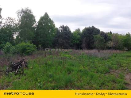 Czeszów - Działka budowlana blisko natury.