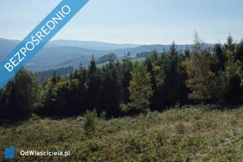 Brenna 2,53 ha inwestycyjna blisko wyciągu orczykowego