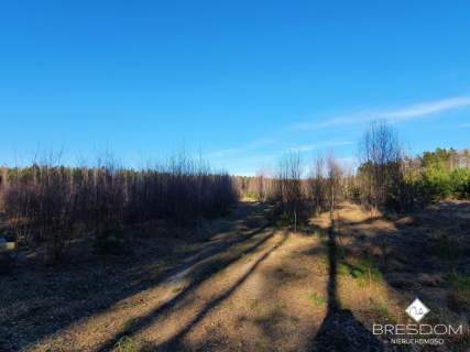 Działki nad jeziorem Maróz