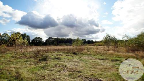 2,3 ha 15 km A2 WZ magazyn farma fotowoltaiczna