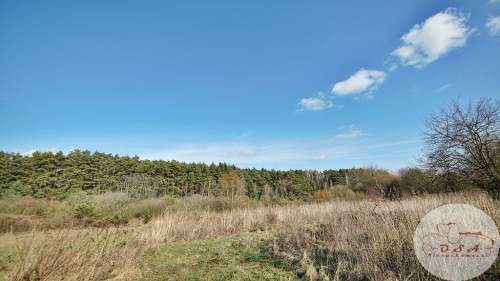 Działki pod lasem 4826 m Łódź 6 km Stęszew WPN