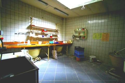 Obiekt produkcyjno-mieszkalny, Opole, Pasieka