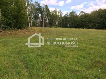 Działka rolna 11.811m2, Skrzeszewo Żuk.