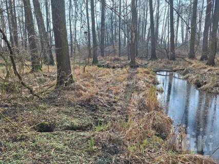 Z linią brzegową rzeczki, bez bliskich sąsiadów