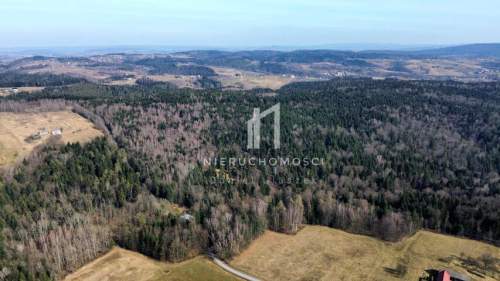 DUŻY LAS JODŁOWO-BUKOWY W SZERZYNACH 4,90HA