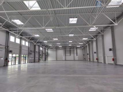 Magazyn biuro brama witryna 210-800m2