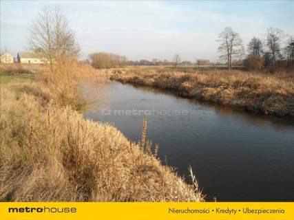 Działka 9,24ha nad Wkrą