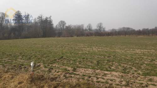 Sprzedam działki rolne z WZ w Strzyżewie