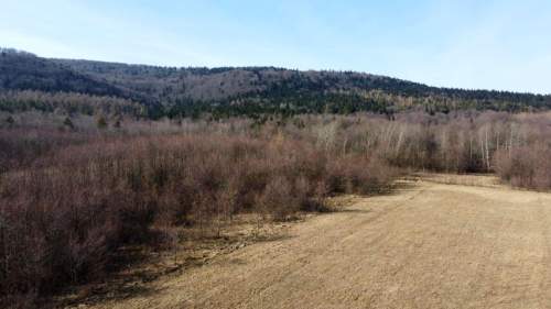 LAS OLCHOWY, PIELGRZYMKA, GM. OSIEK JASIELSKI, 1,65HA