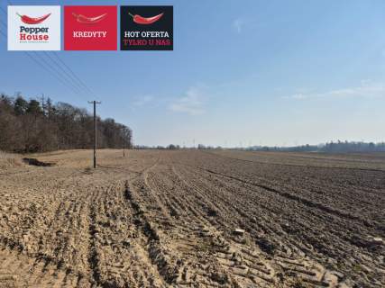 Zamieszkaj 3 km od Malborka, 3 min. Od rzeki Nogat