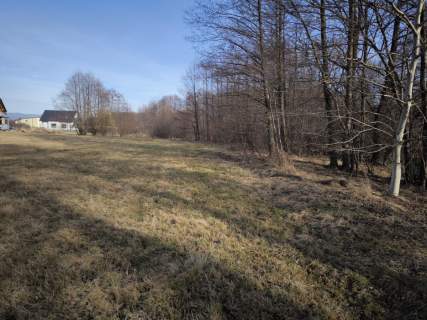 Żywiec - teren zieleni położony nad strumykiem