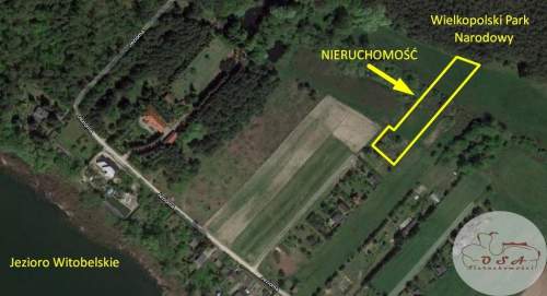 Działki pod lasem 4826 m Łódź 6 km Stęszew WPN