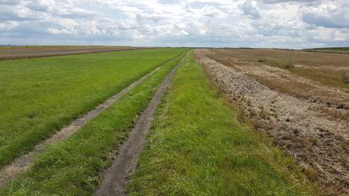 Sprzedam Działka Rolna Gliwice Ostropa Południe