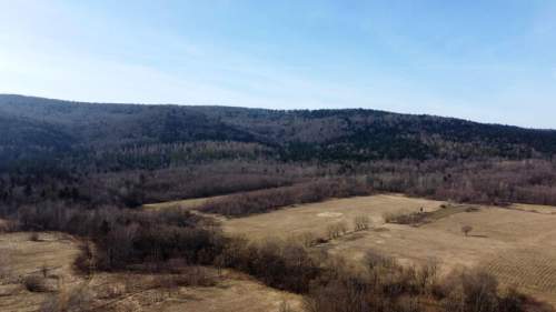 LAS OLCHOWY, PIELGRZYMKA, GM. OSIEK JASIELSKI, 1,65HA