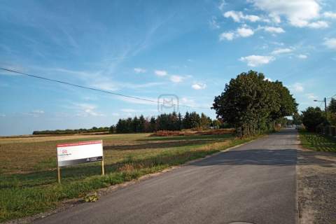 Działki budowlane - Janczewo Kolonia Pod Lasem