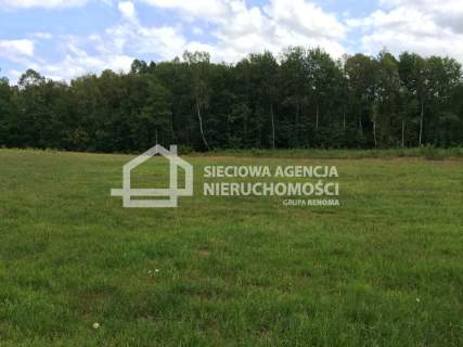 Działka rolna 11.811m2, Skrzeszewo Żuk.