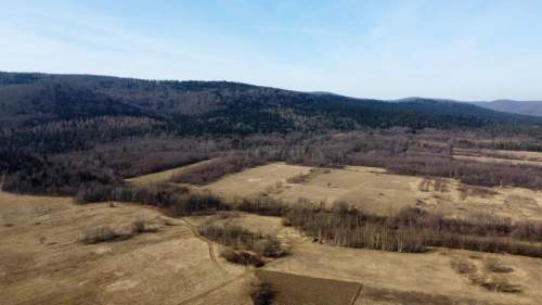 LAS OLCHOWY, PIELGRZYMKA, GM. OSIEK JASIELSKI, 1,65HA
