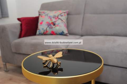 Ekstra apartament przy Rynku z widokiem na Odrę.