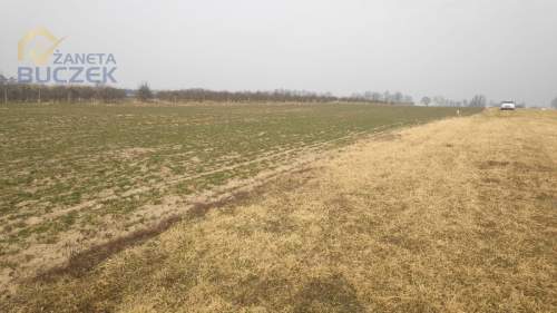 Sprzedam działki rolne z WZ w Strzyżewie