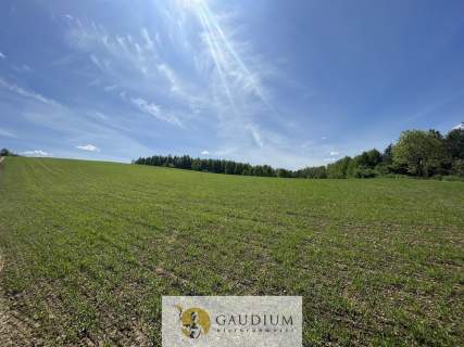 Działka z Warunkami Zabudowy 2138 m2 Zła Wieś