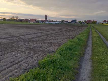 Sprzedam Działka Rolna Gliwice Ostropa Południe