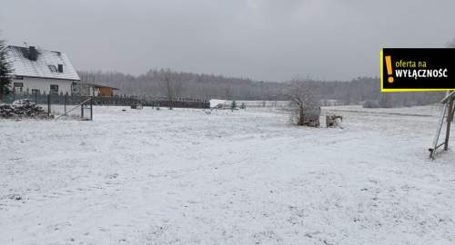 Atrakcyjny dom Przyłogi 250m2