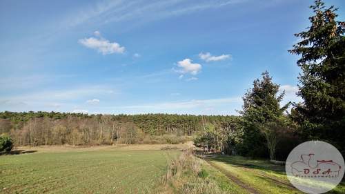 Działki pod lasem 4826 m Łódź 6 km Stęszew WPN