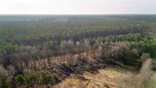 Działka przy lesie nad Zalewem Szczecińskim.