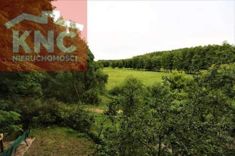 Agroturystyka w Puszczy Noteckiej